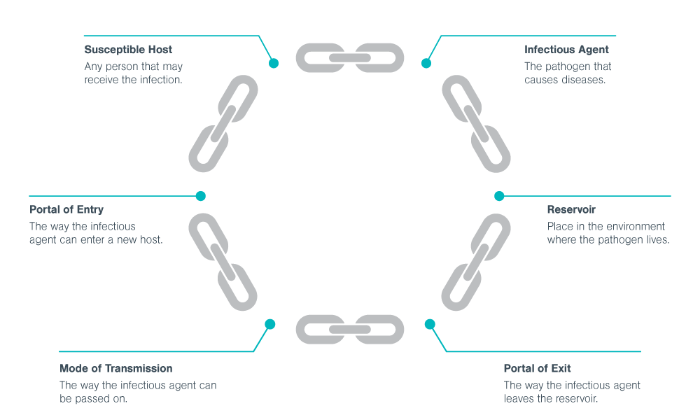 How Do Reusable Containers Break the Chain of Infection? Daniels Health